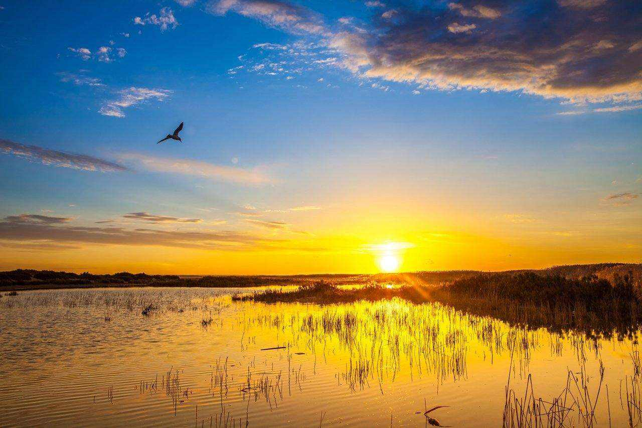 291137042936.png QQͼƬ20191129113057.png